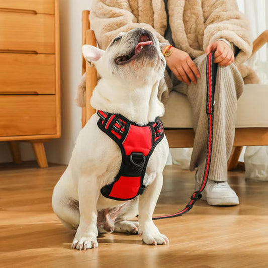 Harnais pour chien: un accessoire essentiel et indispensable pour la promenade du chien