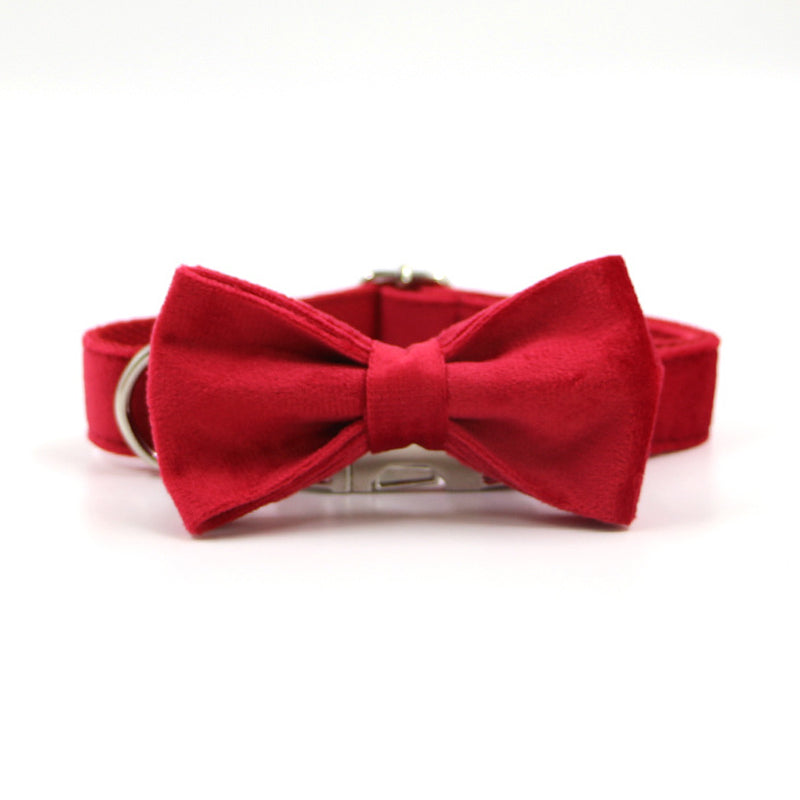 Harnais chien | Rouge Flamboyant