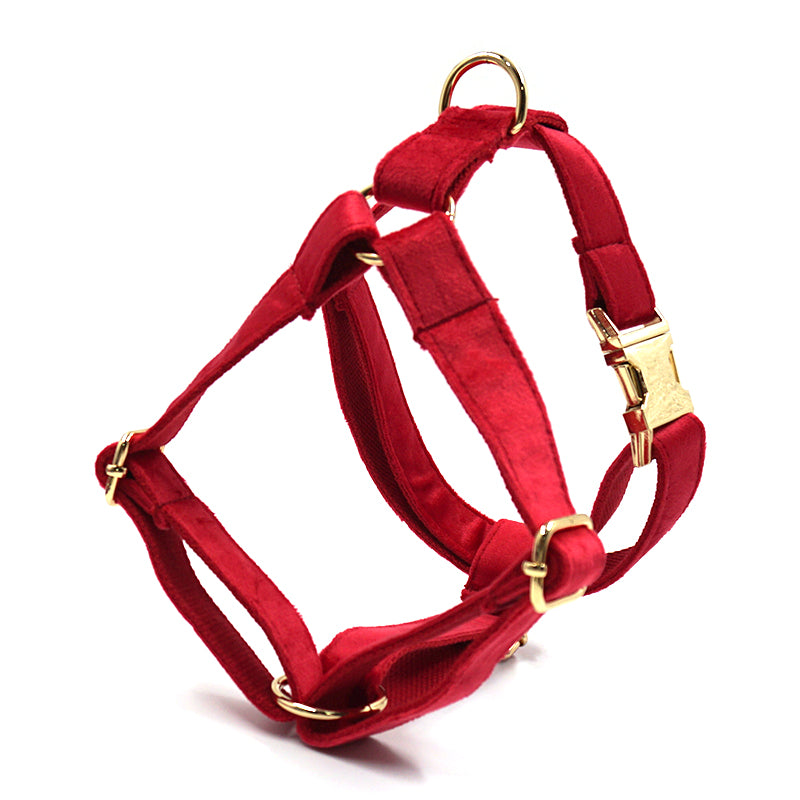 Harnais chien | Rouge Flamboyant