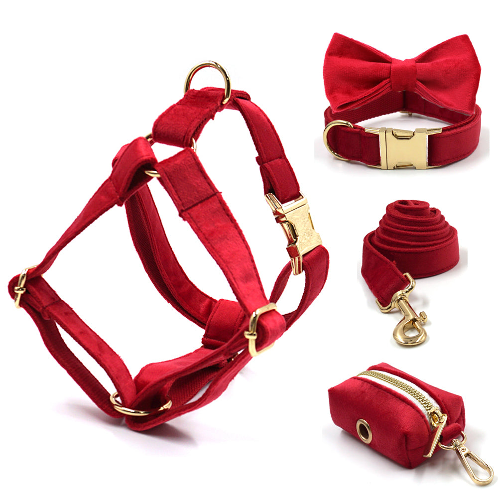 Harnais chien | Rouge Flamboyant