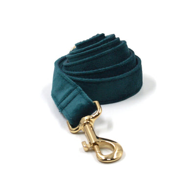 laisse pour chien