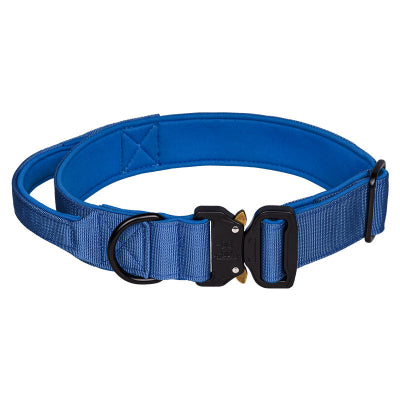 Collier chien-Majestic K9 BLEU