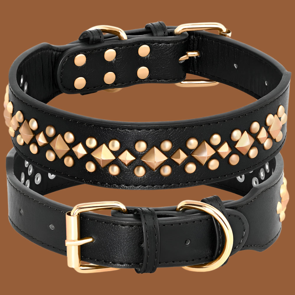 COLLIER CUIR CHIEN-CLOUTÉ noir