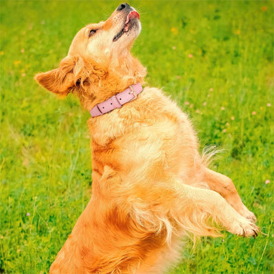 Collier cuir chien rose
