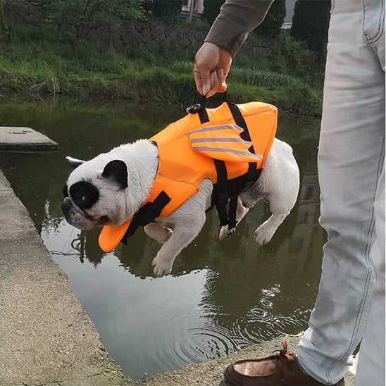 Gilet de sauvetage chien