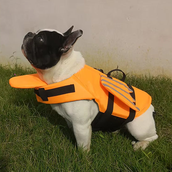 Gilet de sauvetage chien