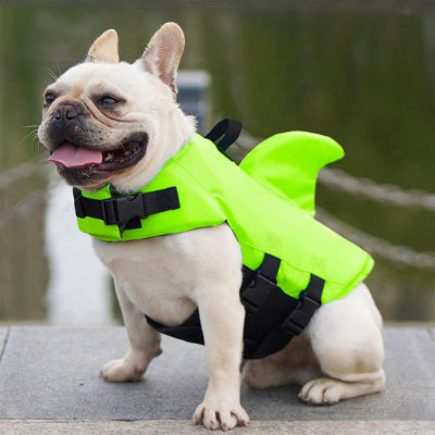 Gilet de sauvetage chien