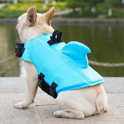 Gilet de sauvetage chien
