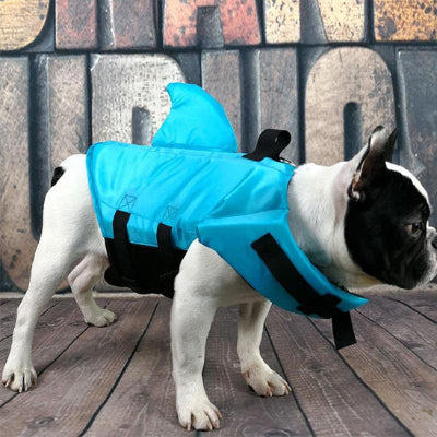 Gilet de sauvetage chien