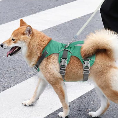 Harnais chien-ROBUSTE