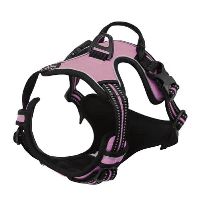 Harnais chien anti traction-ChienZen ROSE