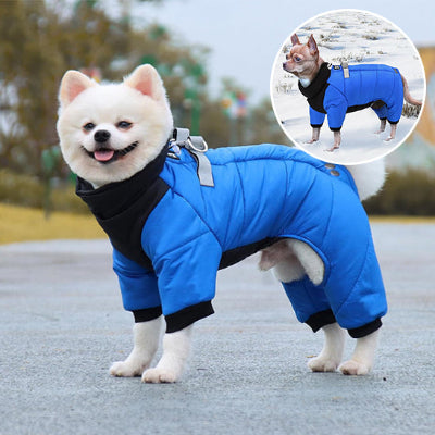MANTEAU CHIEN BLEU