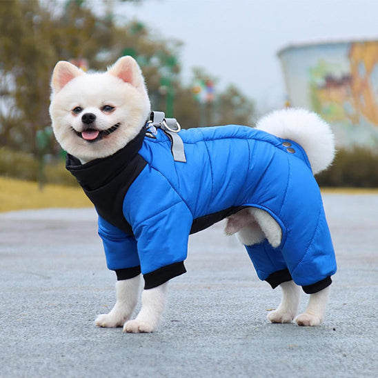 MANTEAU CHIEN BLEU