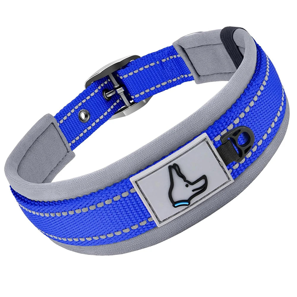 Collier pour chien bleu
