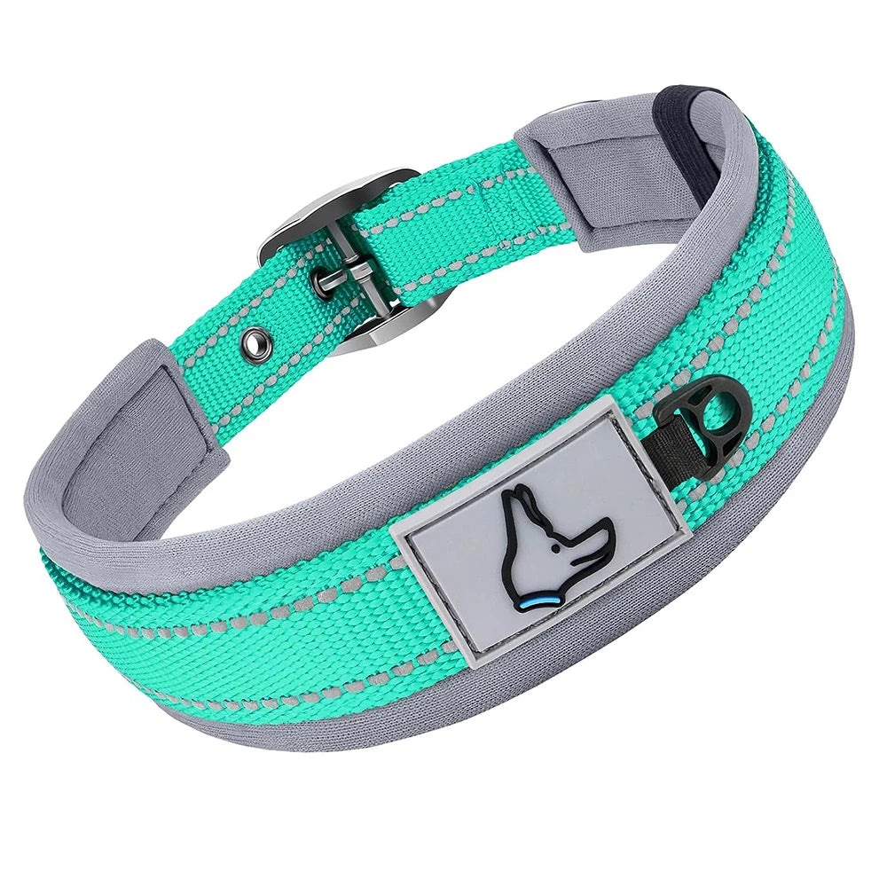 Collier pour chien turquoise
