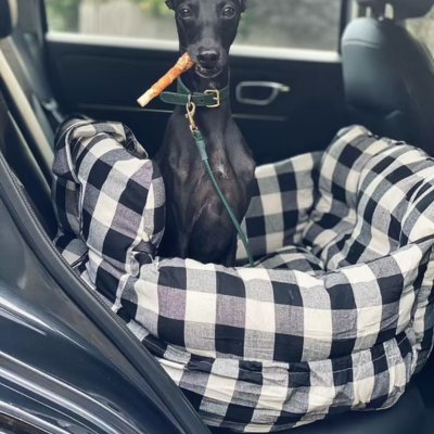 SIEGE AUTO CHIEN-NOIR