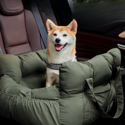 SIEGE AUTO CHIEN-VERT