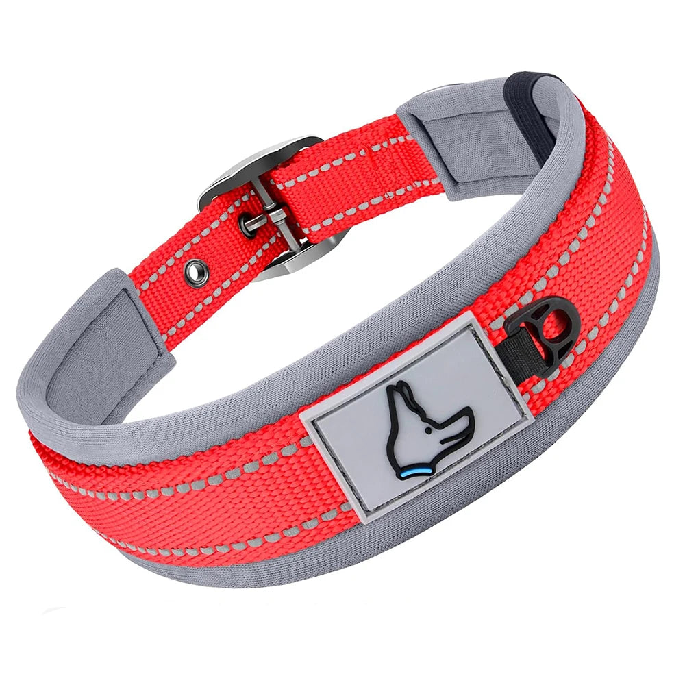 Collier pour chien rouge