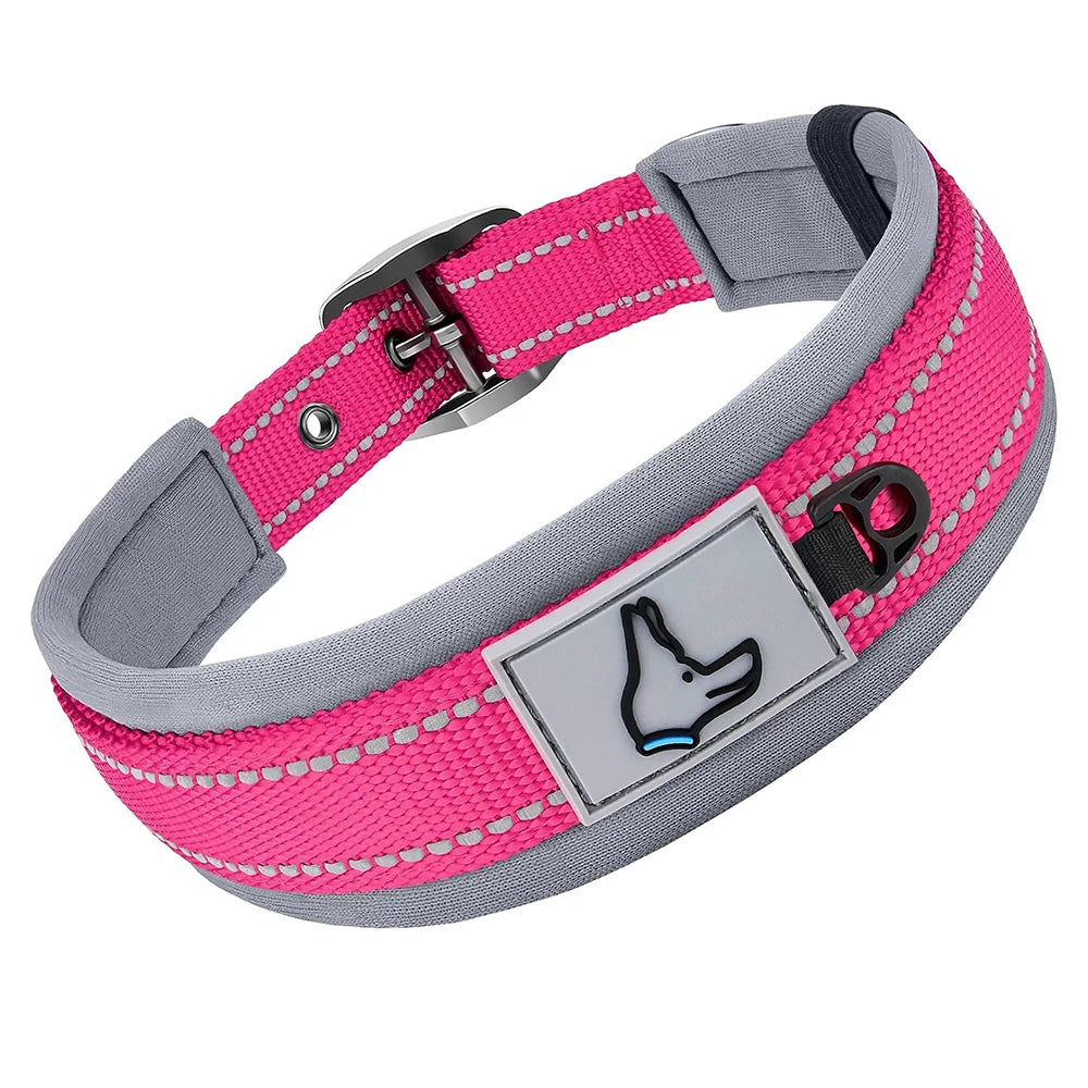 Collier pour chien rose