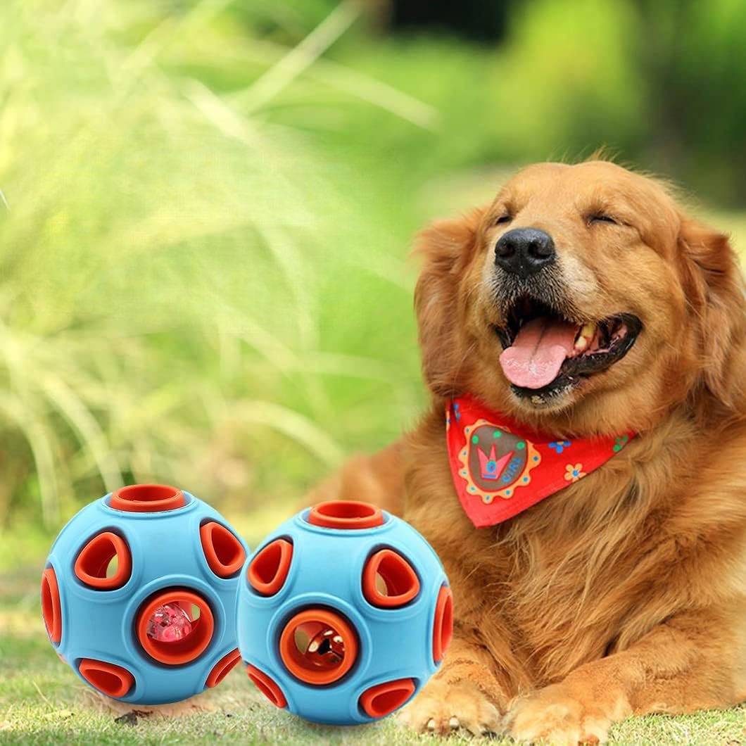 CHIEN GOLDEN RETRIEVER COUCHE DANS L'HERBE AVEC SES DEUX BALLES ORANGE ET BLEU
