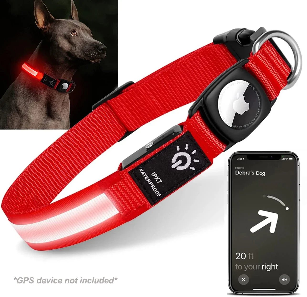 collier gps pour chien - LED - Fun en chien