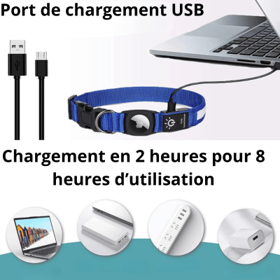 collier gps pour chien - LED - Fun en chien