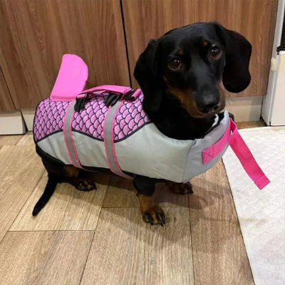 Gilet de sauvetage chien