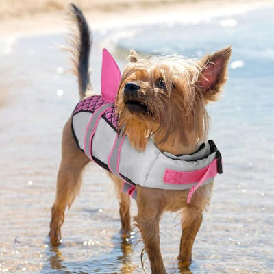 Gilet de sauvetage chien
