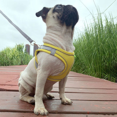 Harnais petit chien-littlePet™ JAUNE