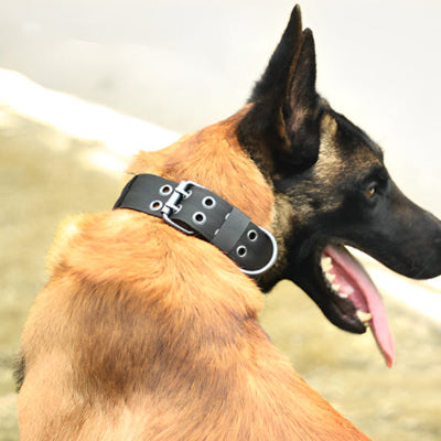 Collier chien-TacticK9