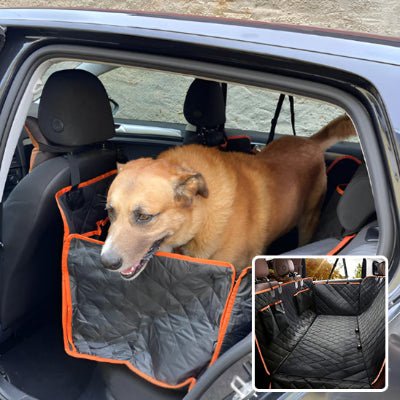 Protection voiture chien - Fun en chien