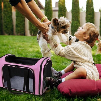 Sac de transport chien - ROSE - Fun en chien