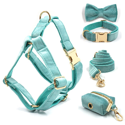 Harnais chien-Turquoise