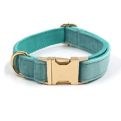 collier chien