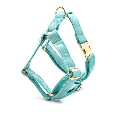 Harnais chien-Turquoise