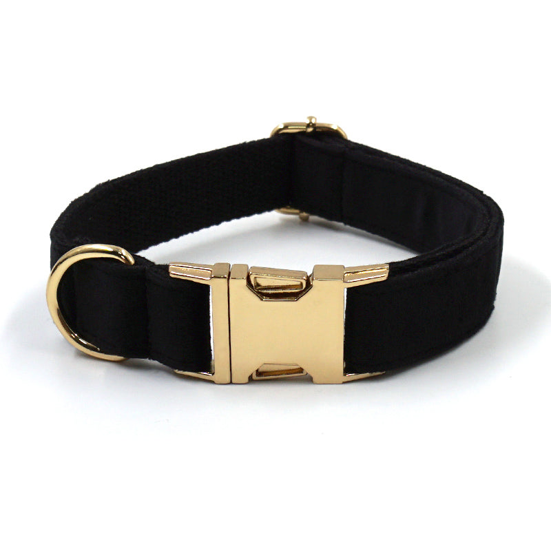 collier chien noir velours