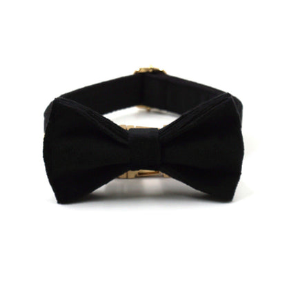 nœud papillon pour chien