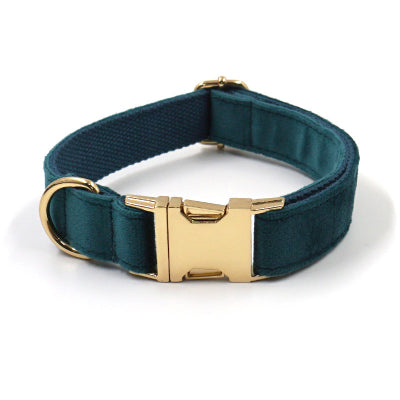 collier pour chien