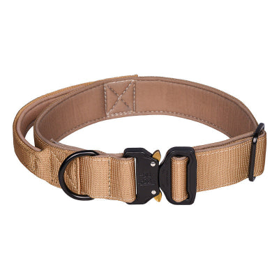 Collier chien-Majestic K9 DORÉ
