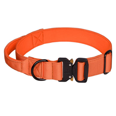 Collier chien-Majestic K9 ORANGE