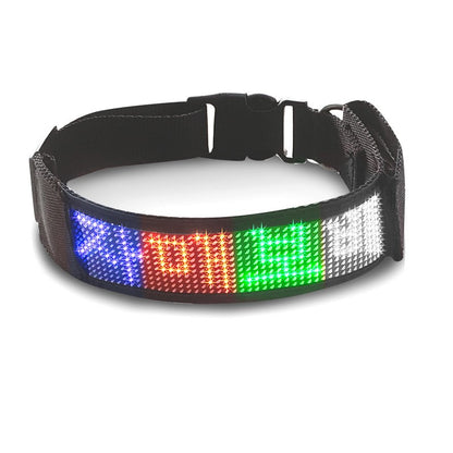 Collier lumineux chien | GraffiCollar™