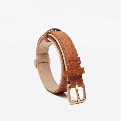Collier cuir chien brun