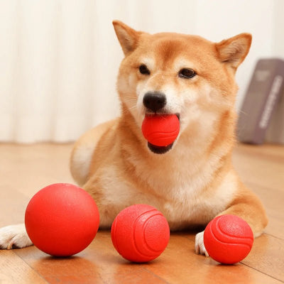 chien shiba inu qui mord une balle durable et résistante rouge 