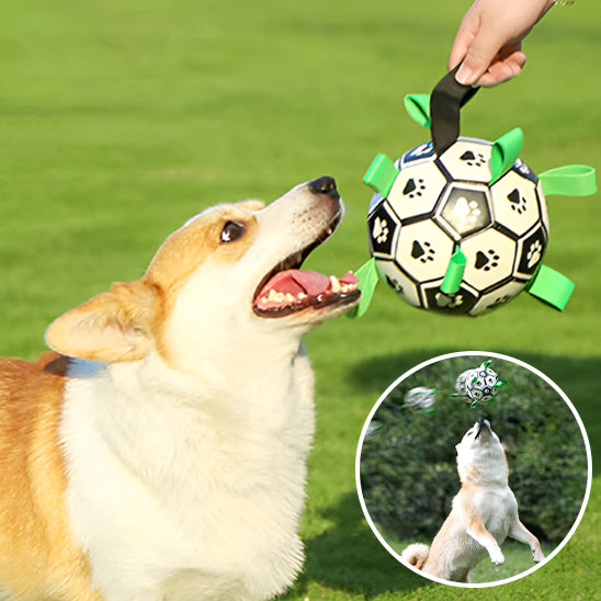 chien corgi jouant au foot dans l'herbe avec son ballon