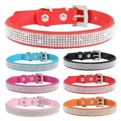 COLLIER CHIEN-Crystal