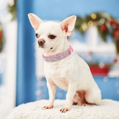 COLLIER CHIEN-Crystal ROSE