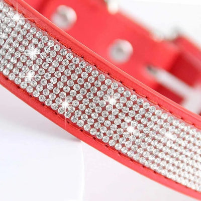 COLLIER CHIEN-Crystal