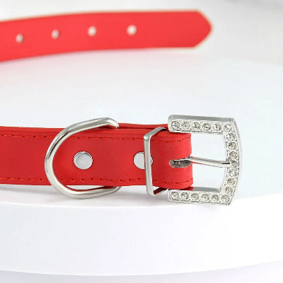 COLLIER CHIEN-Crystal