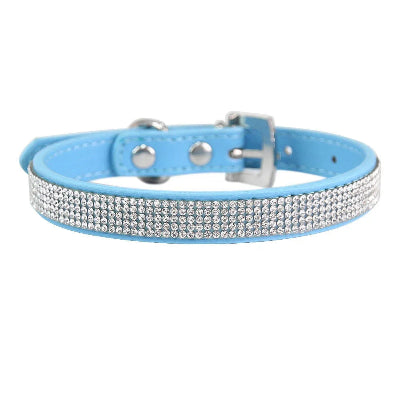COLLIER CHIEN-Crystal BLEU