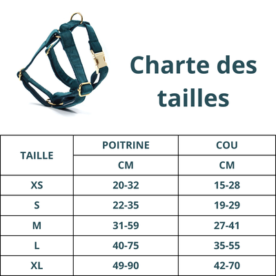Harnais chien | Émeraude